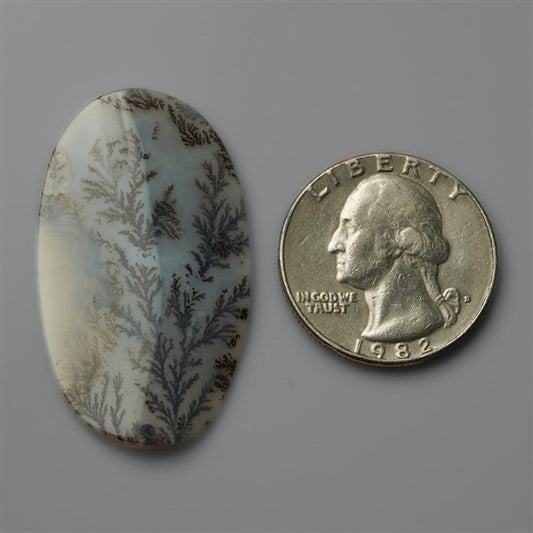 Agate|Scenic Agate