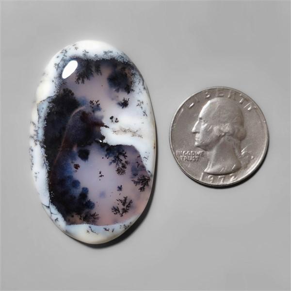 Agate|Dendritic Agate