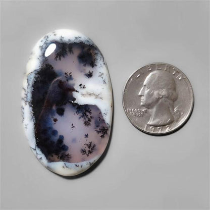 Agate|Dendritic Agate