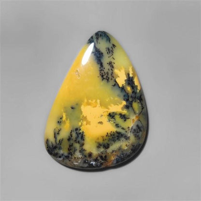 Agate|Dendritic Agate