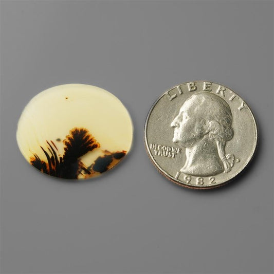 Agate|Scenic Agate