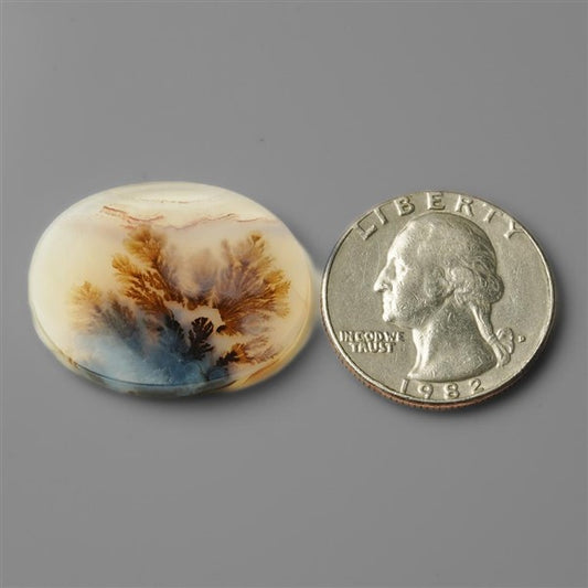 Agate|Scenic Agate