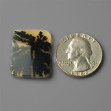 Agate|Scenic Agate