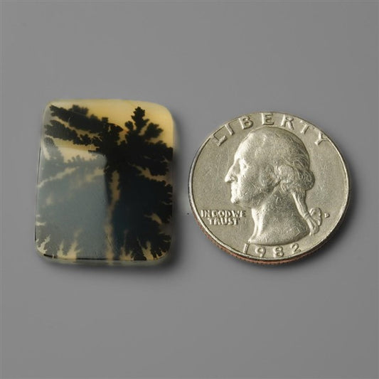 Agate|Scenic Agate