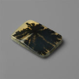 Agate|Scenic Agate