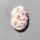 Thomsonite