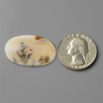 Agate|Scenic Agate