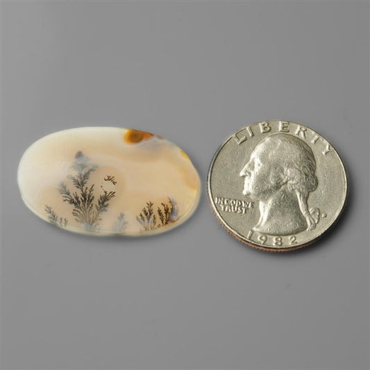 Agate|Scenic Agate