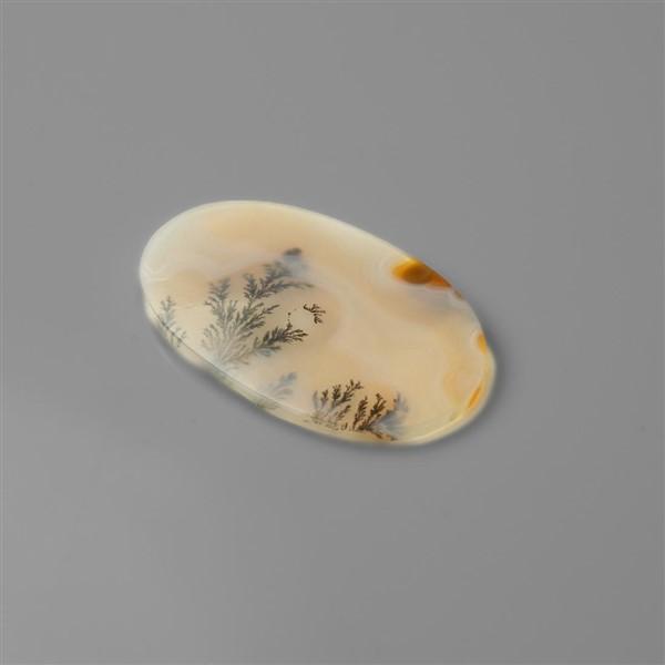 Agate|Scenic Agate