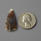 Agate|Scenic Agate