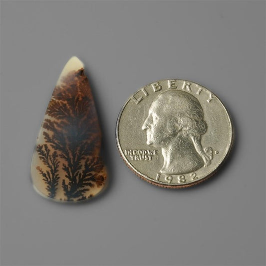Agate|Scenic Agate