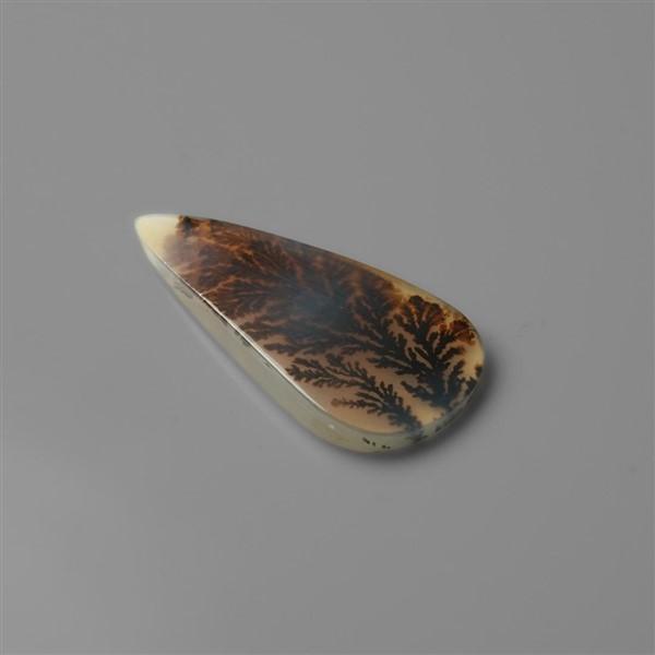 Agate|Scenic Agate