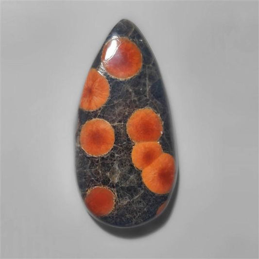 Obsidian|Peanut Obsidian