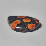 Obsidian|Peanut Obsidian