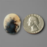 Agate|Scenic Agate