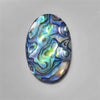 Abalone Shell|Shell
