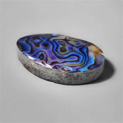 Abalone Shell|Shell