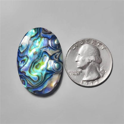 Abalone Shell|Shell