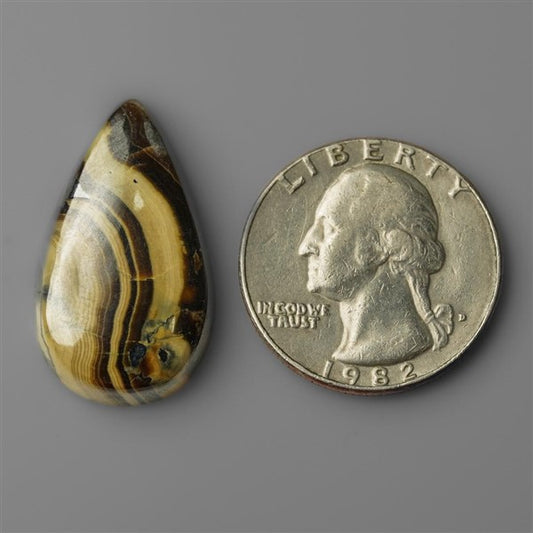 Schalenblende