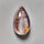Lodolite