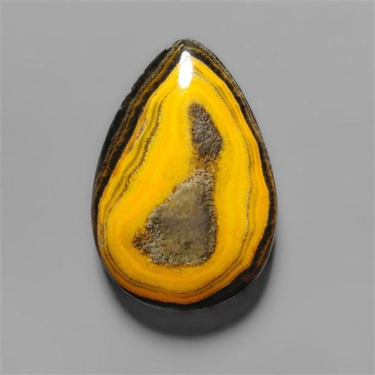 Bumble Bee Jasper