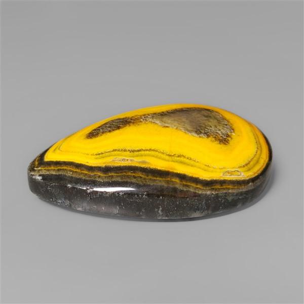 Bumble Bee Jasper