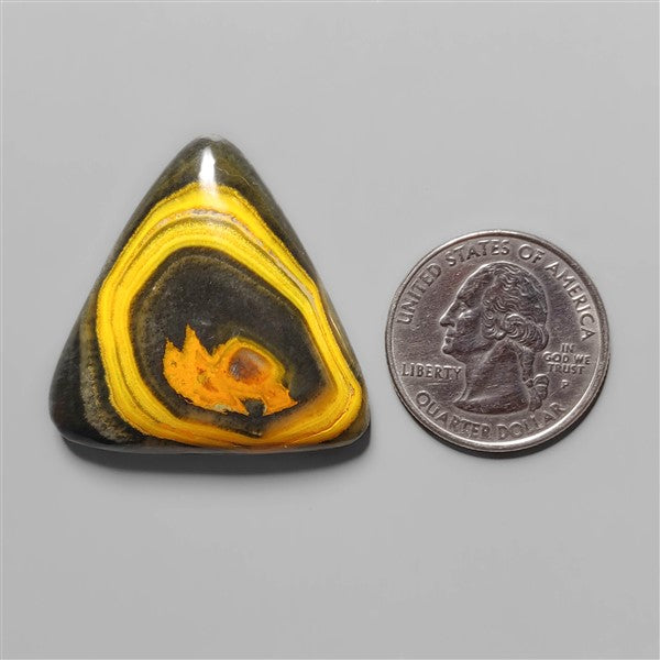 Bumble Bee Jasper