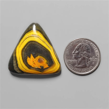 Bumble Bee Jasper