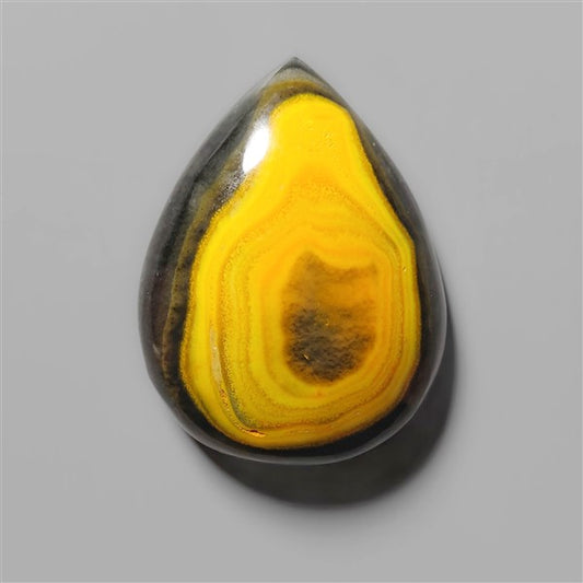 Bumble Bee Jasper