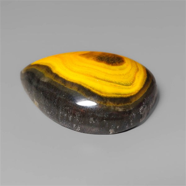 Bumble Bee Jasper