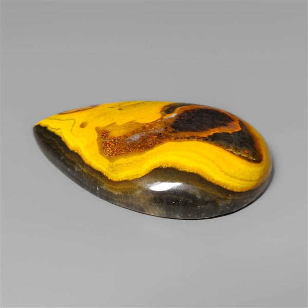 Bumble Bee Jasper