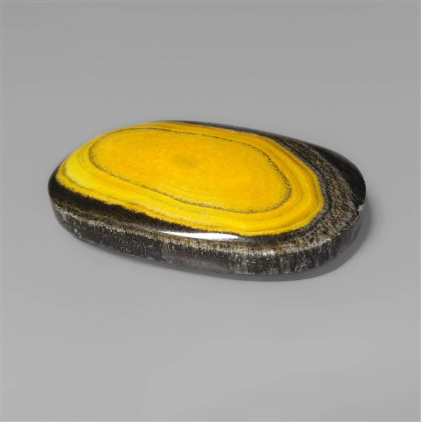 Bumble Bee Jasper