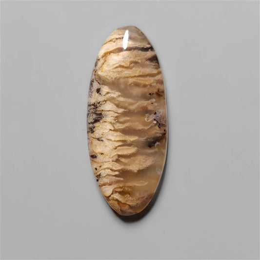 Agate|Dendritic Agate