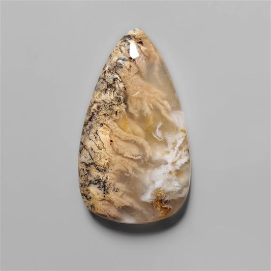 Agate|Dendritic Agate