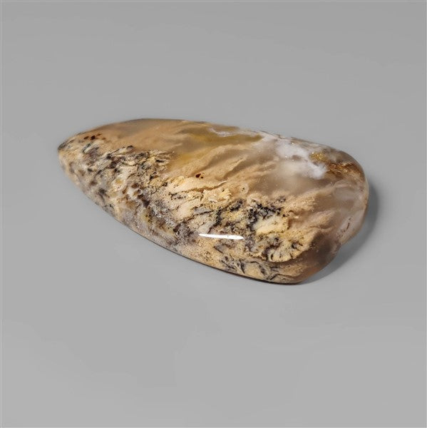 Agate|Dendritic Agate