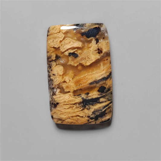 Agate|Dendritic Agate