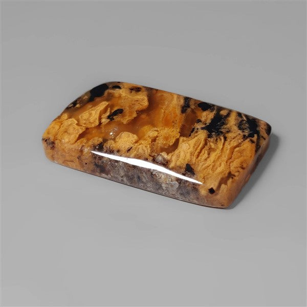 Agate|Dendritic Agate