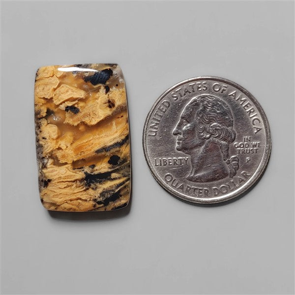 Agate|Dendritic Agate