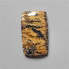 Agate|Dendritic Agate