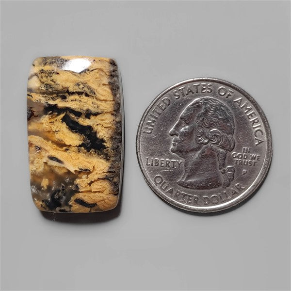 Agate|Dendritic Agate