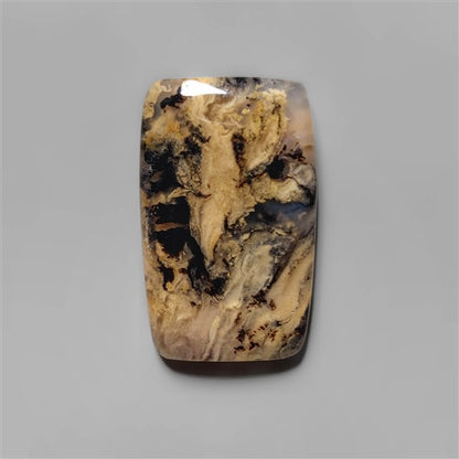 Agate|Dendritic Agate