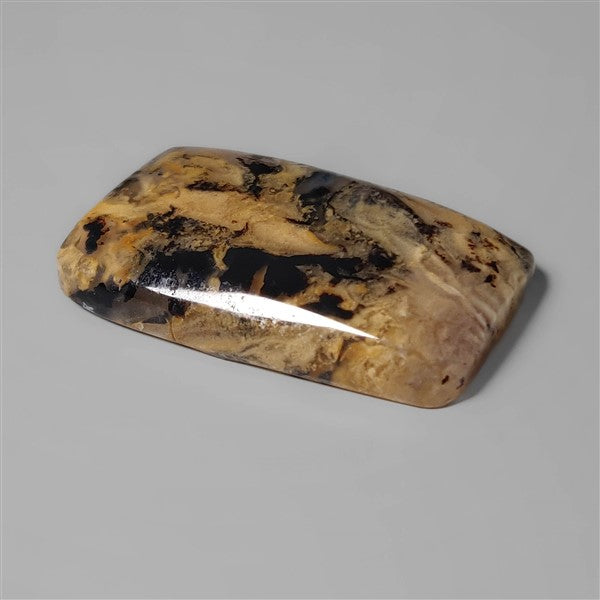 Agate|Dendritic Agate