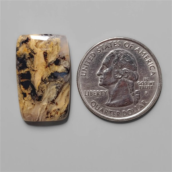 Agate|Dendritic Agate