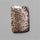 Coral|Fossil Coral