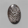 Coral|Fossil Coral