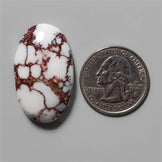 Wild Horse Magnesite