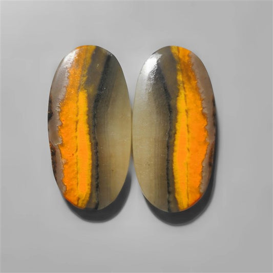 Bumble Bee Jasper