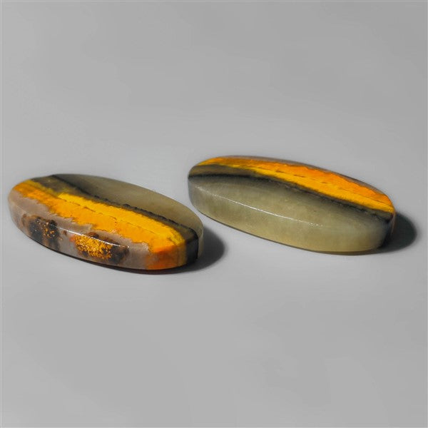 Bumble Bee Jasper