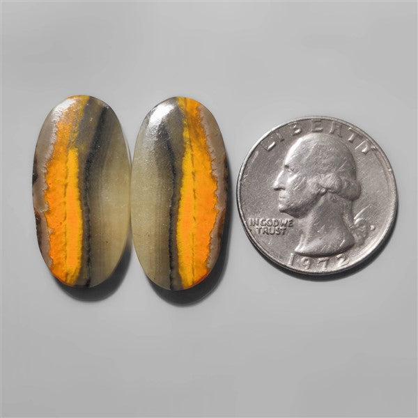 Bumble Bee Jasper