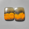 Bumble Bee Jasper
